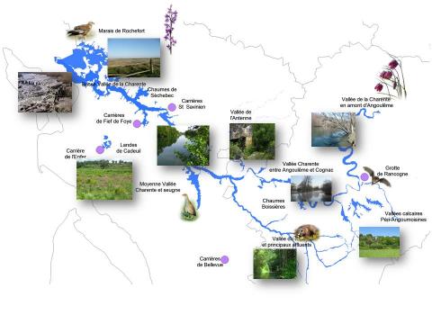 Les 16 sites Natura 2000 animés par la LPO France