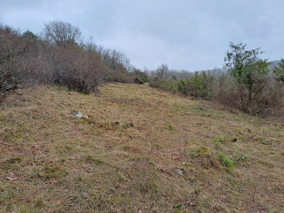 réouverture de pelouses calcaires 
