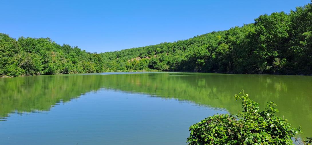 Habitat favorable à la Cistude 